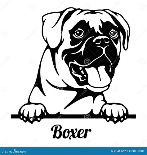 metal boxer dog silhouette|boxer dog face outline.